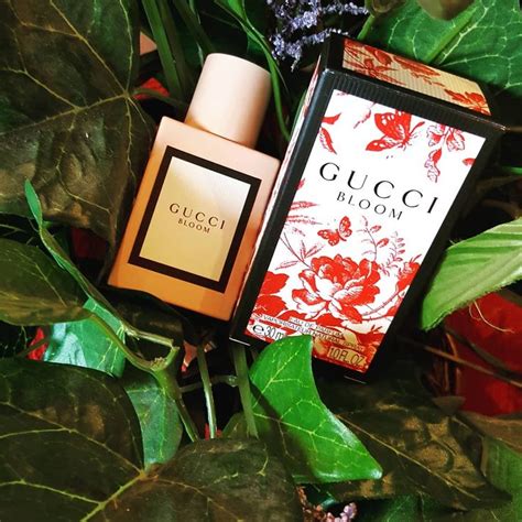 gucci bloom review fragrantica